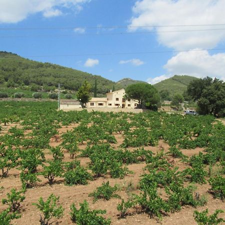 Casa Rural Cal Marti El Pla de Manlleu Exterior photo