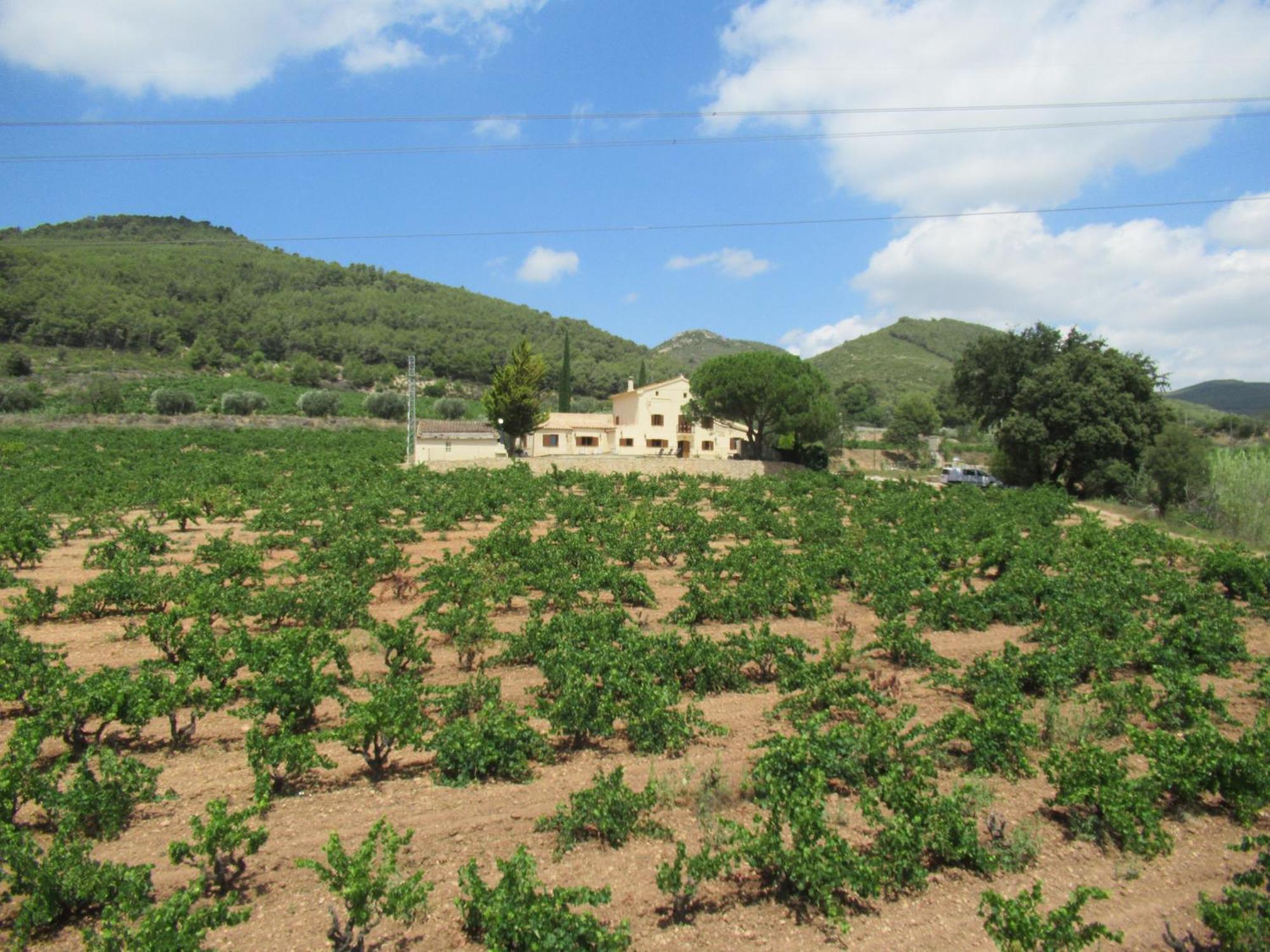 Casa Rural Cal Marti El Pla de Manlleu Exterior photo